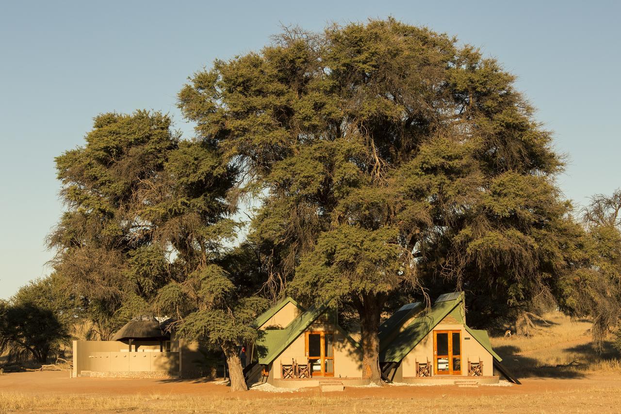 Kalahari Game Lodge Koës Pokoj fotografie